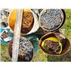 Image 3 : Pallet of pails of nails, and screws.