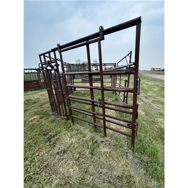 HiQual classic calving pen w/ head squeeze.