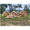 Image 13 : (Selling by the pile) 5 year old wheat straw. Approx 100 round bales. See Rick. Buyer responsible fo