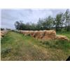 Image 5 : (Selling by the pile) 5 year old wheat straw. Approx 100 round bales. See Rick. Buyer responsible fo