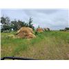 Image 7 : (Selling by the pile) 5 year old wheat straw. Approx 100 round bales. See Rick. Buyer responsible fo