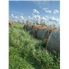 Image 10 : (Selling by the pile) 21 round bales of 3 year old hay. East of yard. Buyer responsible for load out