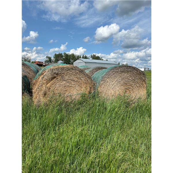 (Selling by the pile) 21 round bales of 3 year old hay. East of yard. Buyer responsible for load out