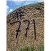 Image 2 : (Selling by the pile) 21 round bales of 3 year old hay. East of yard. Buyer responsible for load out