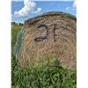 Image 3 : (Selling by the pile) 21 round bales of 3 year old hay. East of yard. Buyer responsible for load out