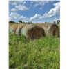 Image 6 : (Selling by the pile) 21 round bales of 3 year old hay. East of yard. Buyer responsible for load out