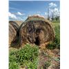 Image 8 : (Selling by the pile) 21 round bales of 3 year old hay. East of yard. Buyer responsible for load out