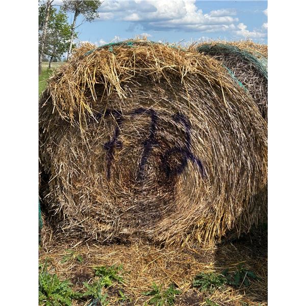 (Selling by the pile) 3 year old yellow oats feed. 21 round bales. South east of house. Buyer respon