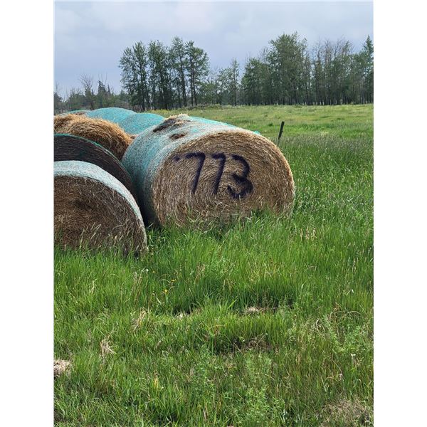 (Selling by the pile) Approx 40 barley straw  bales, and 6 small misc. Bales. Buyer responsible for