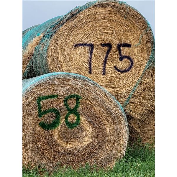 (Selling by the pile) 3 year old  hay . 58 round bales. Buyer responsible for load out.