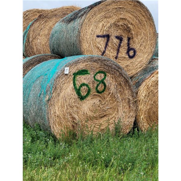 (Selling by the pile) 3 year old hay . 68 round bales. Buyer responsible for load out.