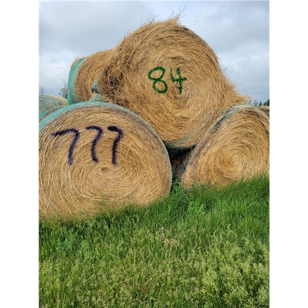 (Selling by the pile) 3 year old hay . 84 round bales. Buyer responsible for load out.