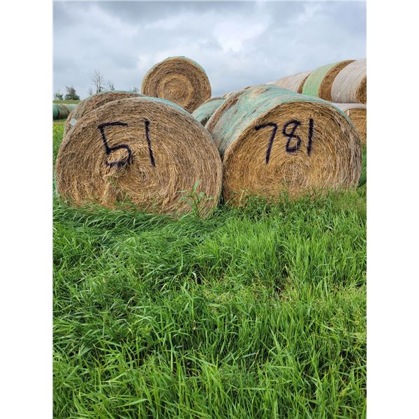 (Selling by the pile) 51 round bales of 2 year old hay. Buyer responsible for load out.