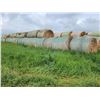 Image 2 : (Selling by the pile) 51 round bales of 2 year old hay. Buyer responsible for load out.