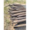 Image 2 : Assorted fence posts, in various sizes. Approx 45.