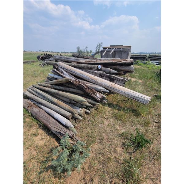 Variety of new and used fence posts. Approx 90, and wooden creep feeder (poor).