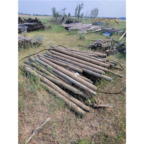 Qty of 6ft fence posts. Approx 60.