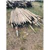 Image 2 : Qty of 6ft fence posts. Approx 60.