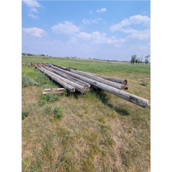 Lot of telephone poles. Approx 30ft, 6.5-17" diameters, approx. 13 in good condition.