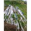 Image 1 : Lot of white plastic pipe, fibreglass etc.
