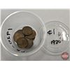 Image 2 : USA One Cent Collection (270+Coins) : Variety / Intermittent : 1920's; 30's ; 40's ; 50's; 60's; 70'