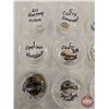 Image 2 : FOREIGN Coin Collection (90 Coins) :  Variety (Countries / Denominations / Types / Dates) (Incl. Mex
