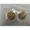 Image 2 : Canada Loonie Collection (46 Coins) Variety / Intermittent : 1980's & 1990's & 2000's (See Pictures 