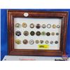 Image 1 : Framed Button Display (10-3/8"H x 8"W) (SEE PICS!)