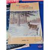 Image 8 : Variety of Vintage Magazines (11)(SEE PICS!)