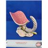 Image 2 : HULL Pottery : Blossom Flite : Pink Cornucopia (6-1/2"H)  (SEE PICS!)