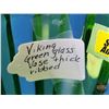 Image 8 : Viking Glass Green Vase (8"H) (SEE PICS!)