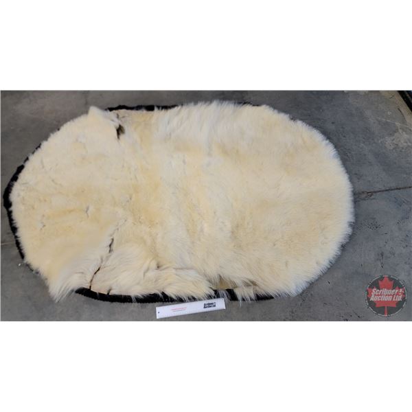Vintage Genuine Polar Bear Rug (75"H x 51"W) (SEE PICS!)  (Listing & Descriptions are a GUIDE ONLY a