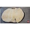 Image 2 : Vintage Genuine Polar Bear Rug (75"H x 51"W) (SEE PICS!)  (Listing & Descriptions are a GUIDE ONLY a
