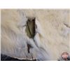 Image 3 : Vintage Genuine Polar Bear Rug (75"H x 51"W) (SEE PICS!)  (Listing & Descriptions are a GUIDE ONLY a