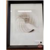 Image 2 : Set of (3) Framed Alan Blaustein Seashell Prints (Each Measures : 15-1/2"H x 12-1/2"W) (SEE PICS!)  