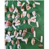 Image 2 : Collection Seashells (100 Total Count) : Large Variety (SEE PICS!)