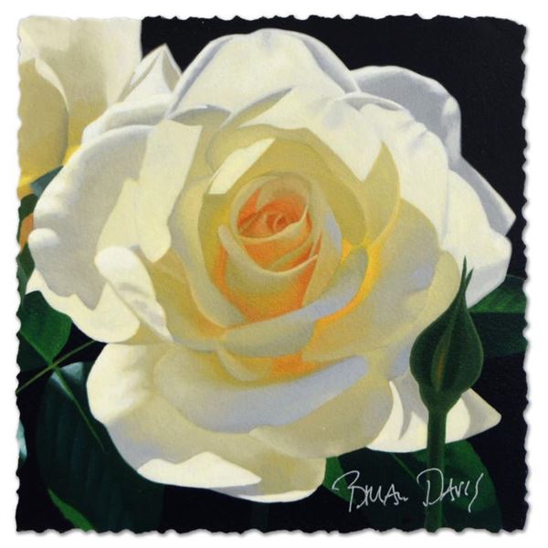 Brian Davis: Contemporary Master in a Grand Tradition (Deluxe) by Davis Brian