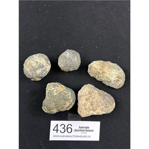 Rare Lot of Thunder Eggs That Are Over 1 Million Years Old