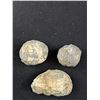 Image 4 : Rare Lot of Thunder Eggs That Are Over 1 Million Years Old
