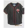 Image 1 : Chicago Bulls Starter Brand Large Vintage Jersey
