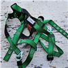 Image 2 : 3xl safety harness