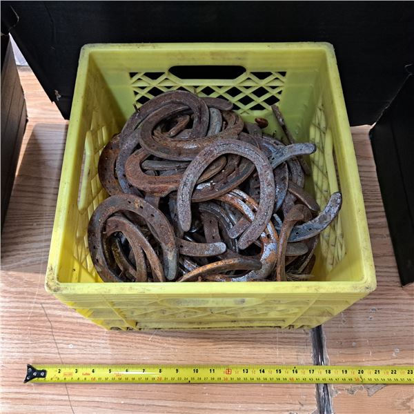 Crate of vintage horse shoes
