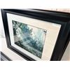 Image 2 : Framed Nature Photographs