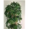 Image 2 : Faux tree