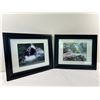 Image 1 : Framed Puffin Prints