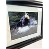 Image 2 : Framed Puffin Prints