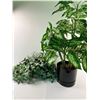 Image 1 : Faux Potted Plants