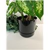 Image 2 : Faux Potted Plants