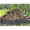 Image 1 : Large Pile of Cut Firewood