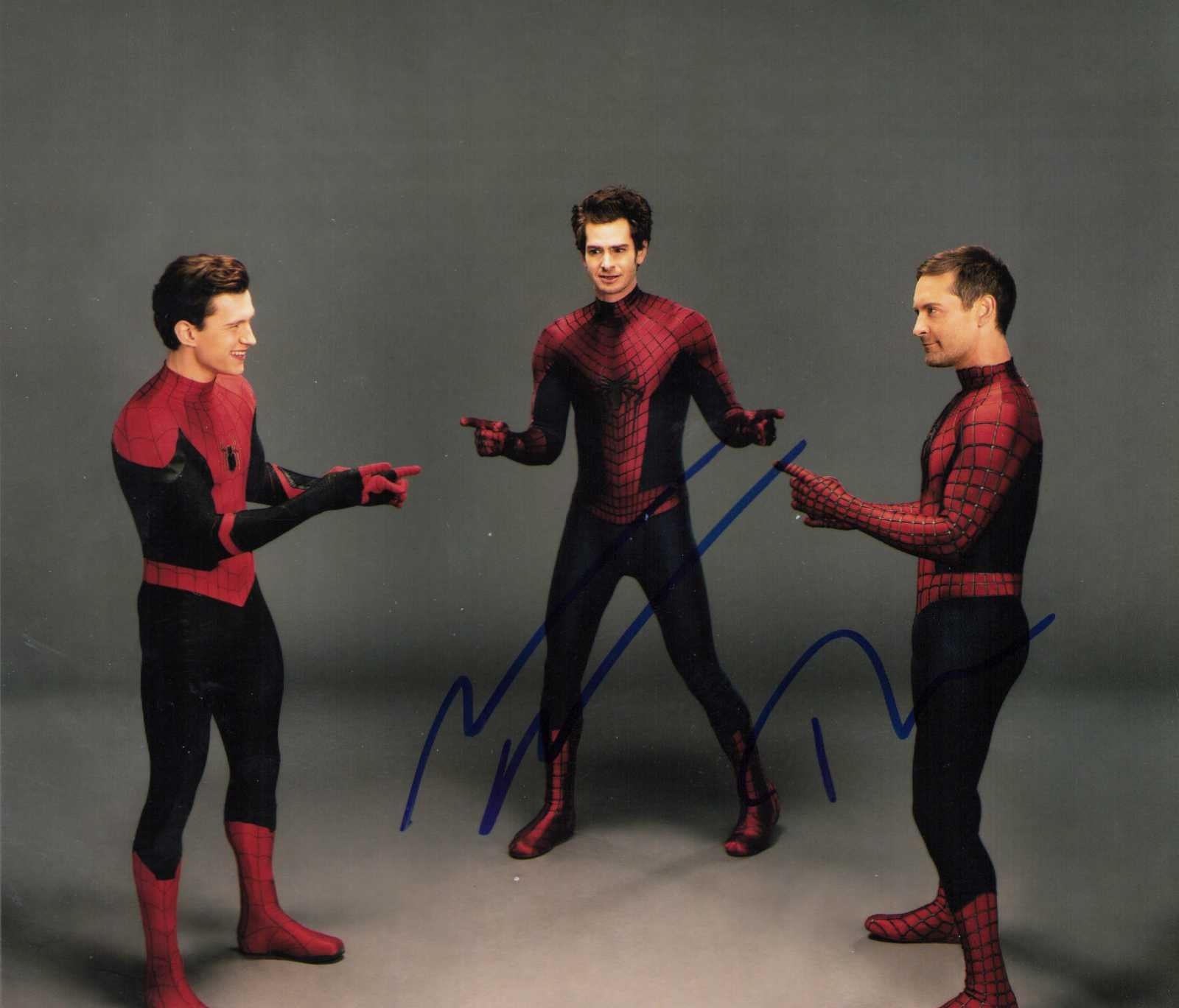 Andrew Garfield Signed Spiderman 12x8 Photograph Framed Display